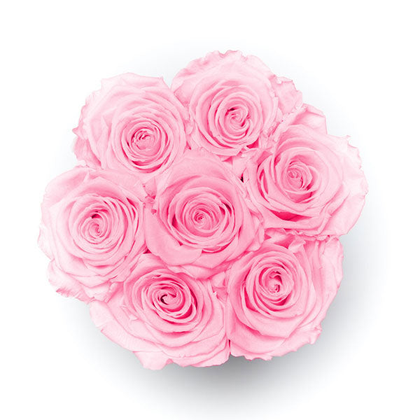 Medium - Premium White - Rosa