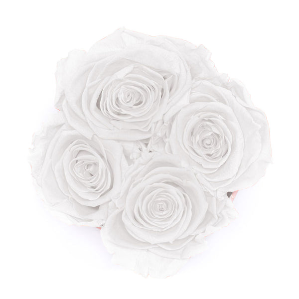 Small - White Marble - Weiß
