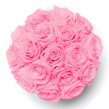 Large - Premium White - Rosa Bouquet