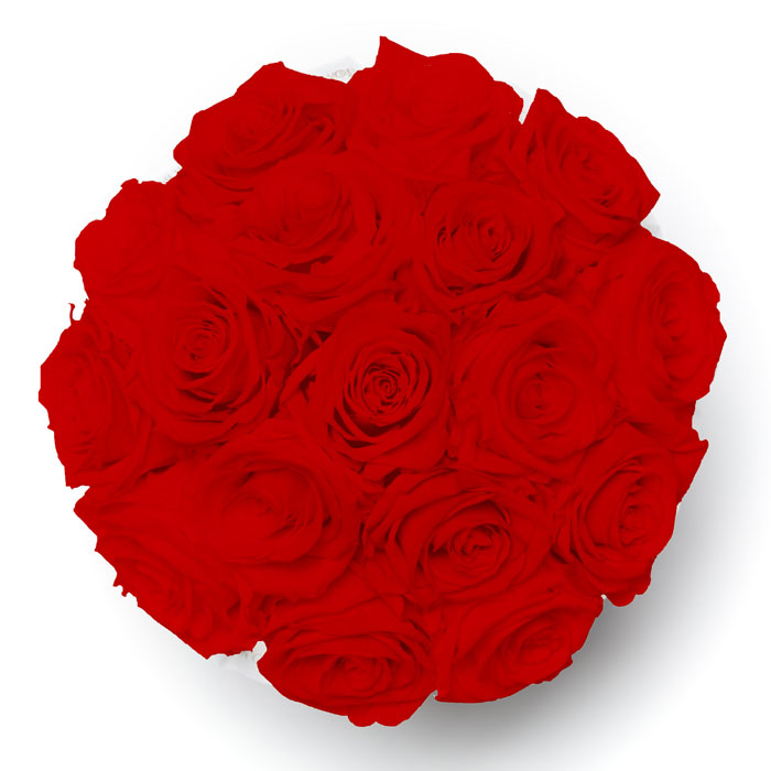 Large - Lieblingsmensch - Rot Bouquet