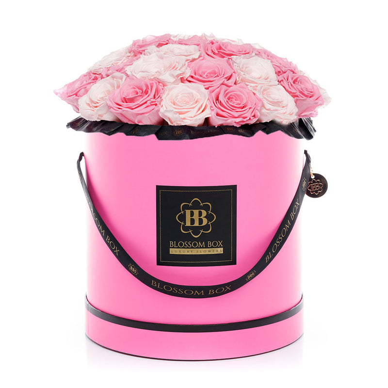 XL - Classic Pink - Rosamix