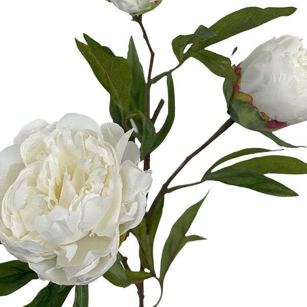 Pfingstrosen 70 cm by  MARYLEA - Floral Lifestyle & Interior.