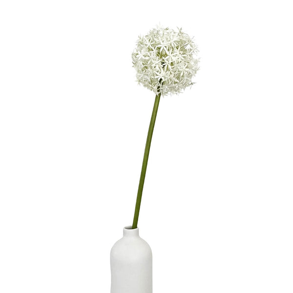Allium (1 Stiel) by  MARYLEA - Floral Lifestyle & Interior.