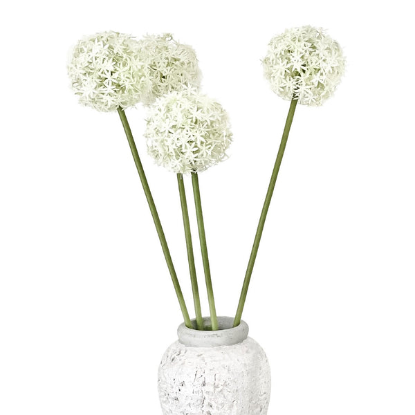 Allium (1 Stiel) by  MARYLEA - Floral Lifestyle & Interior.