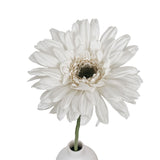 Gerbera Weiß by  MARYLEA - Floral Lifestyle & Interior.