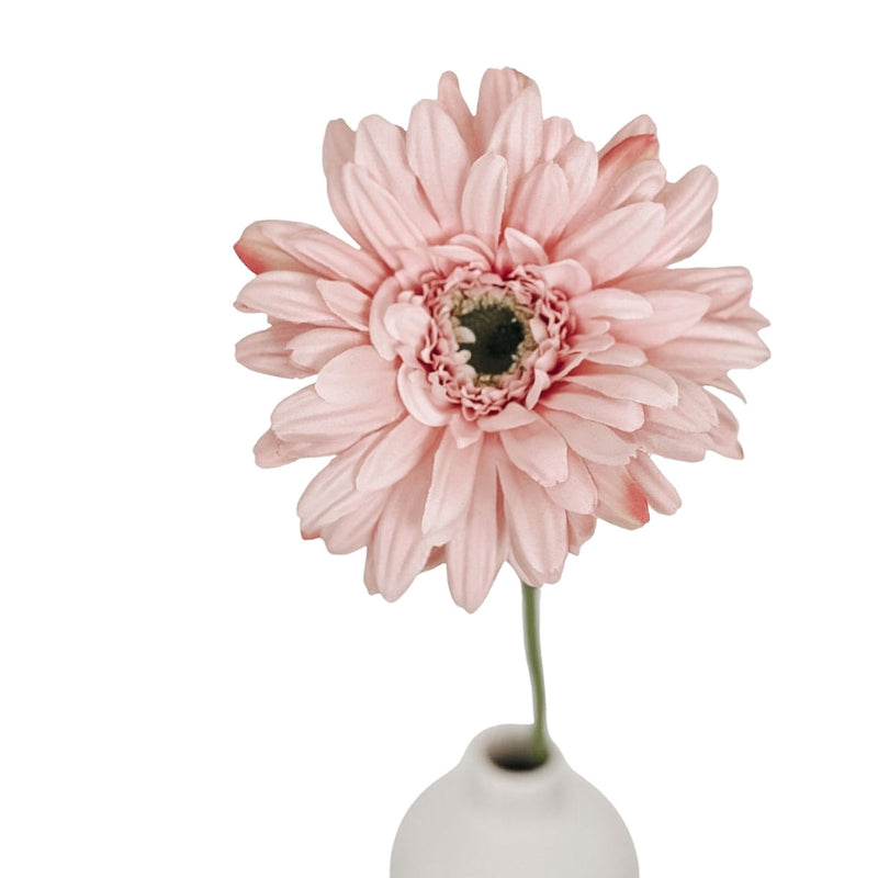 Gerbera Rosa by  MARYLEA - Floral Lifestyle & Interior.