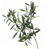 Olivenzweig mit Oliven 55 cm by  MARYLEA - Floral Lifestyle & Interior.