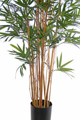 Bambusbaum 195 cm (Outdoor geeignet) by  MARYLEA - Floral Lifestyle & Interior.