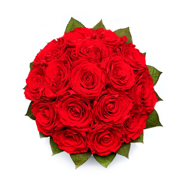 Large - Lieblingsmensch - Red Roses