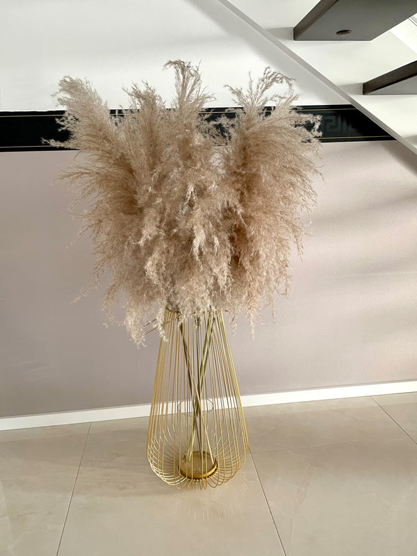 5x Fluffy Pampas Natur 120 cm by  MARYLEA - Floral Lifestyle & Interior.