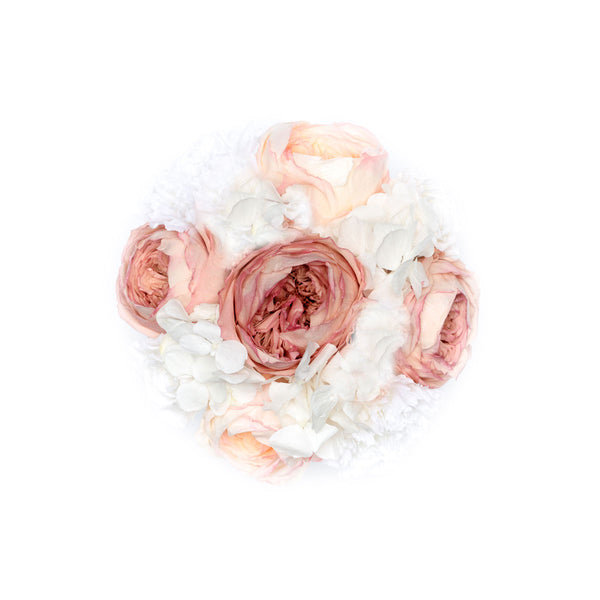 Small - Premium White - Infinity Peonies by  MARYLEA - Floral Lifestyle & Interior.