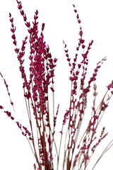 Lavendel Pink by  MARYLEA - Floral Lifestyle & Interior.